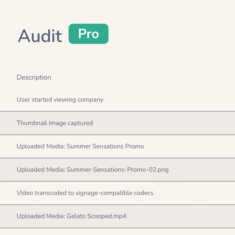 Meet audit logs