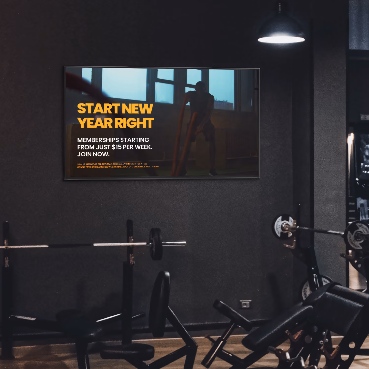 Fitness