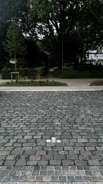 Beplanting en kasseien aan de rand van het vernieuwde plein
