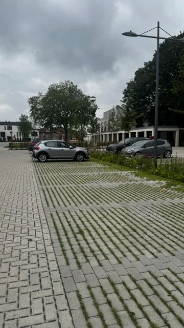 Parkeerstrook in grasbetontegels langs het vernieuwde plein