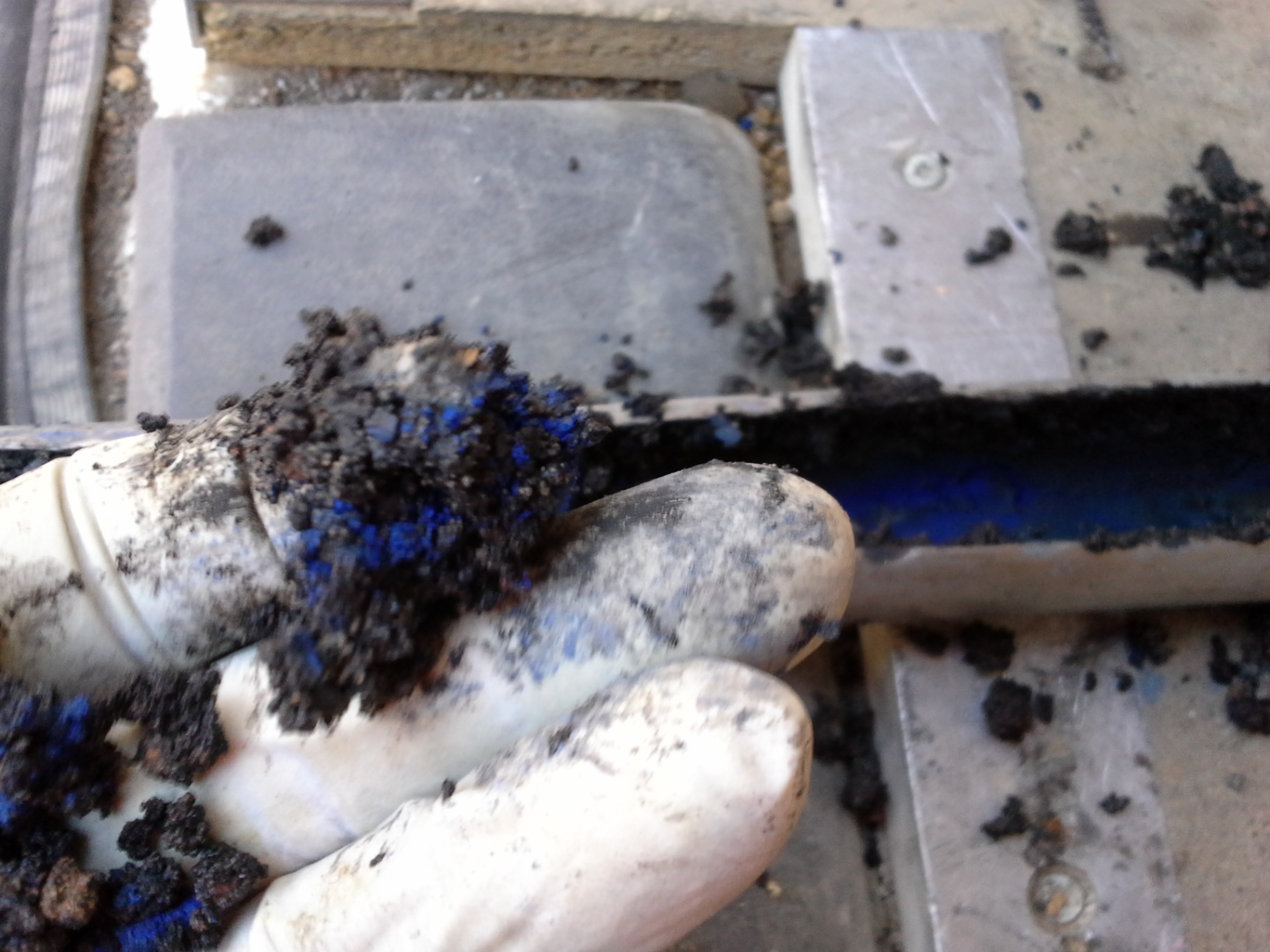 20140925_114142.jpg
