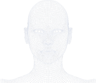 Frontal view of a wireframe human head and neck model on a black background.