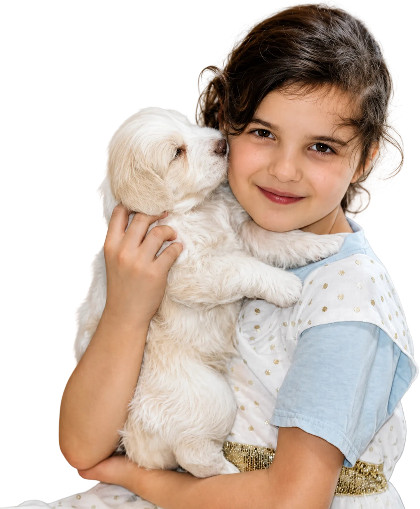 A young girl holds a small white mountain doodle puppy in her arms.
