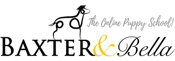 Baxter & Bella - The online puppy school logo