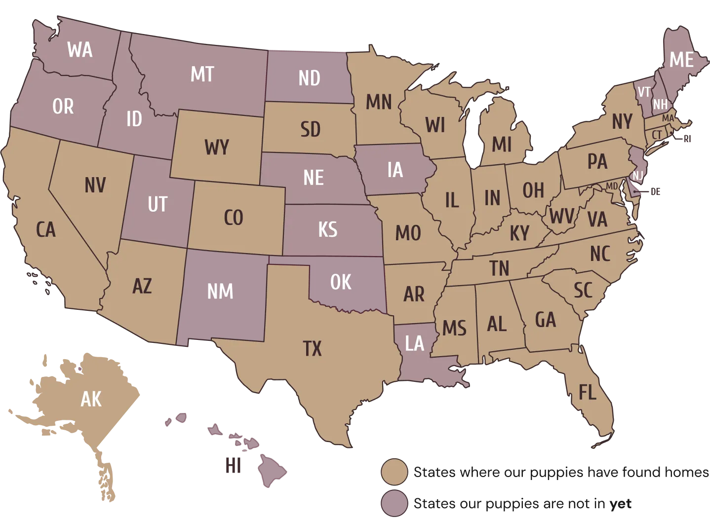 A map of the United States showcasing all the states a our puppies have founds forever homes in.