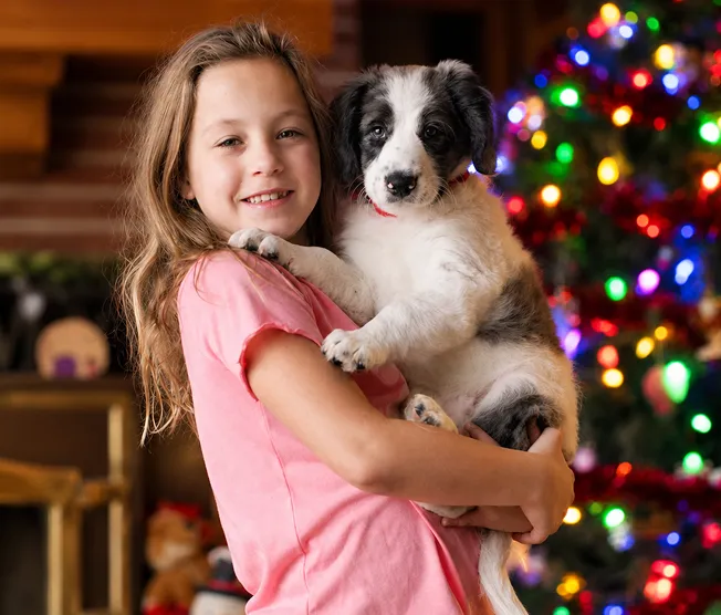 A girl holds a black and white puppy with a Christmas tree decorated with colorful lights behind them.