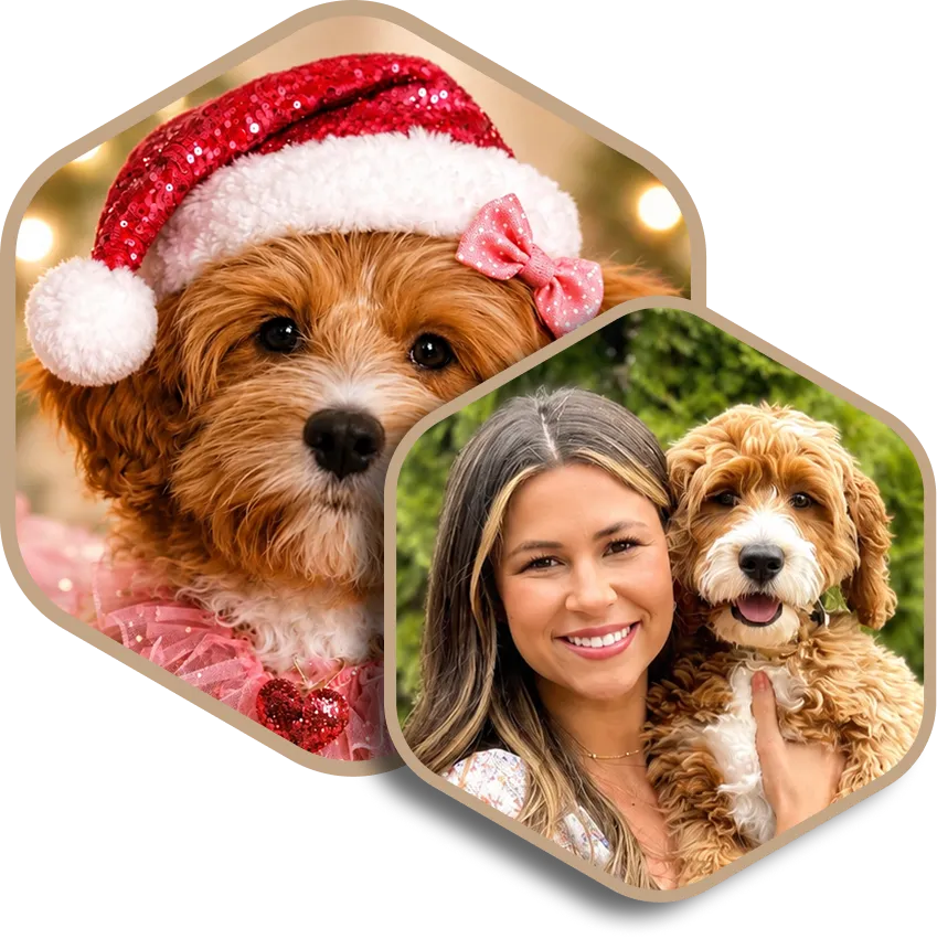 A small dog in a Santa hat and bow, and a woman smiling while holding a similar dog outside, shown in overlapping hexagonal frames.