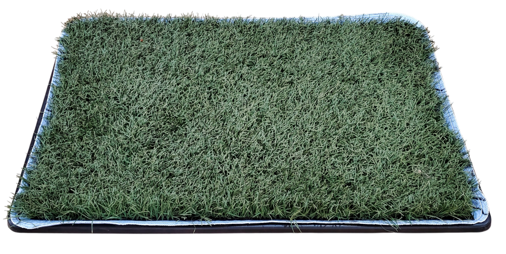 Astroturf Thumbnail 3