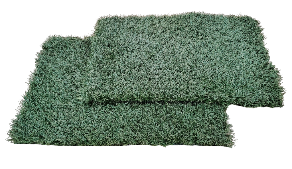Astroturf Thumbnail 4