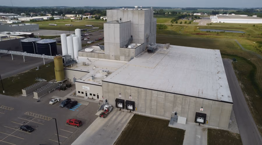 St. Johns plant