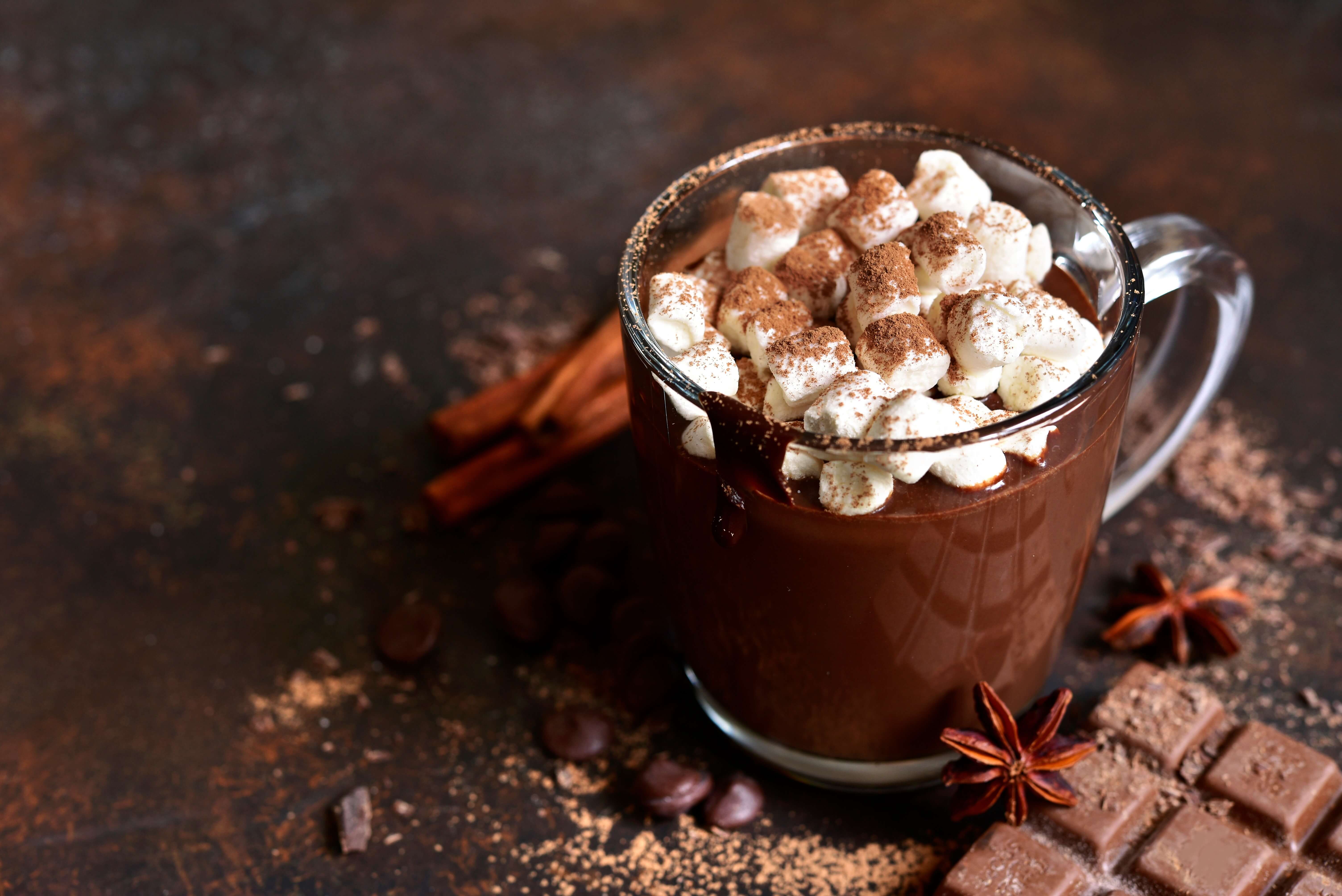 Mug of hot chocolate topped with marshmallows and cocoa, with cinnamon and chocolate pieces