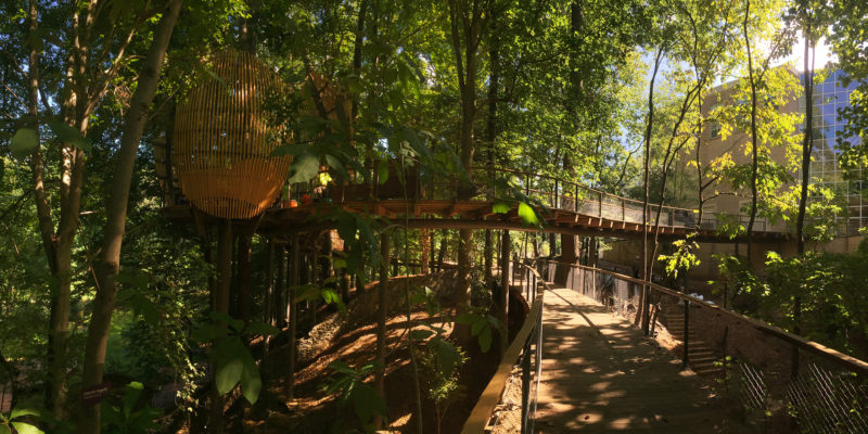 Fernbank Museum of Natural History WildWoods