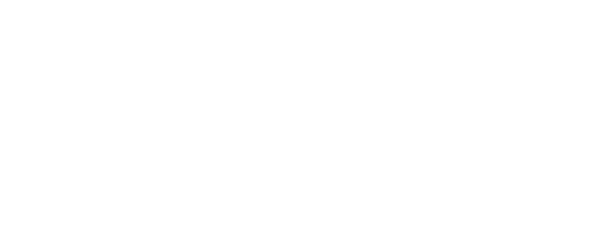 IMAGE AND NOISE