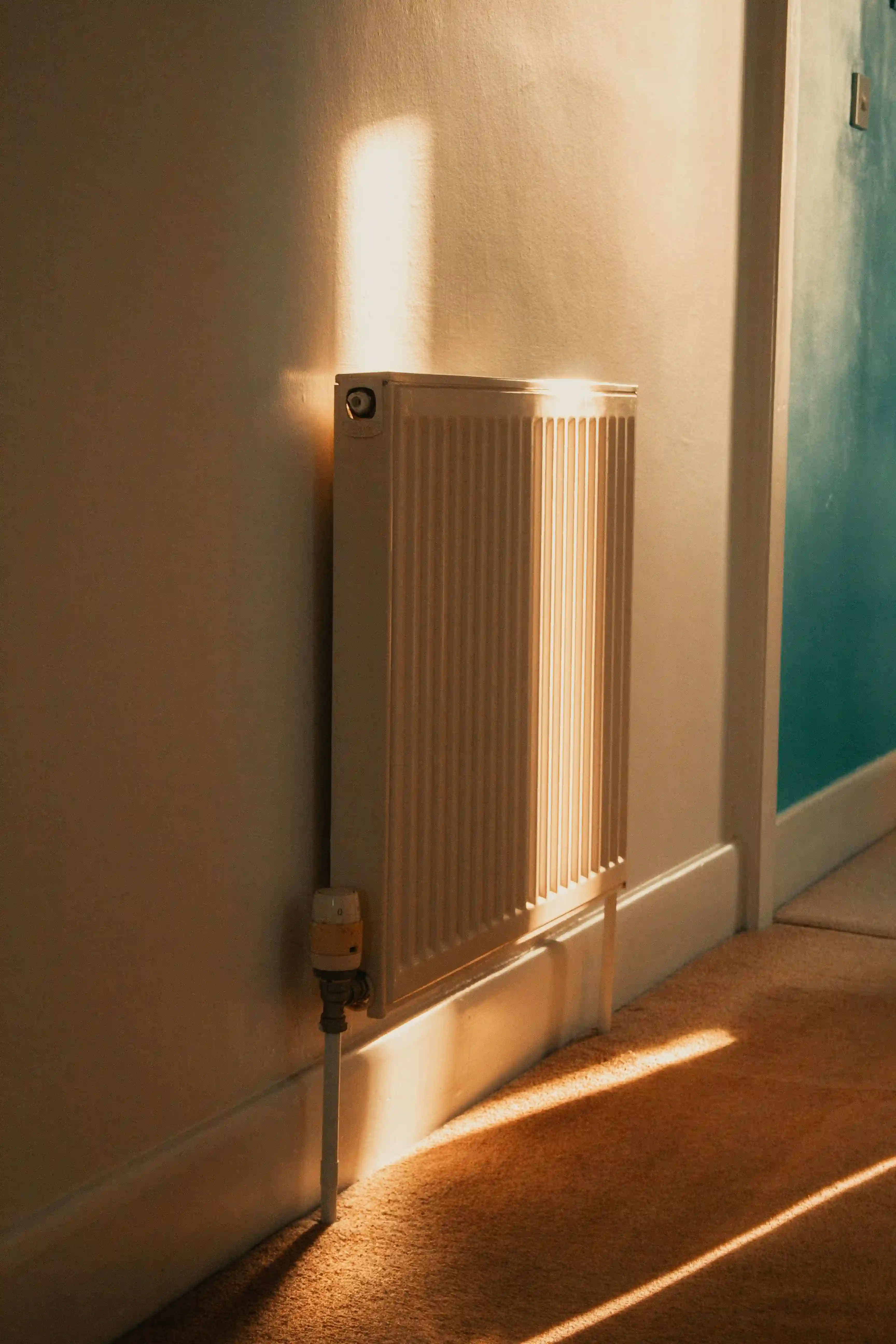 An outdoor air conditioning unit near some flowers.