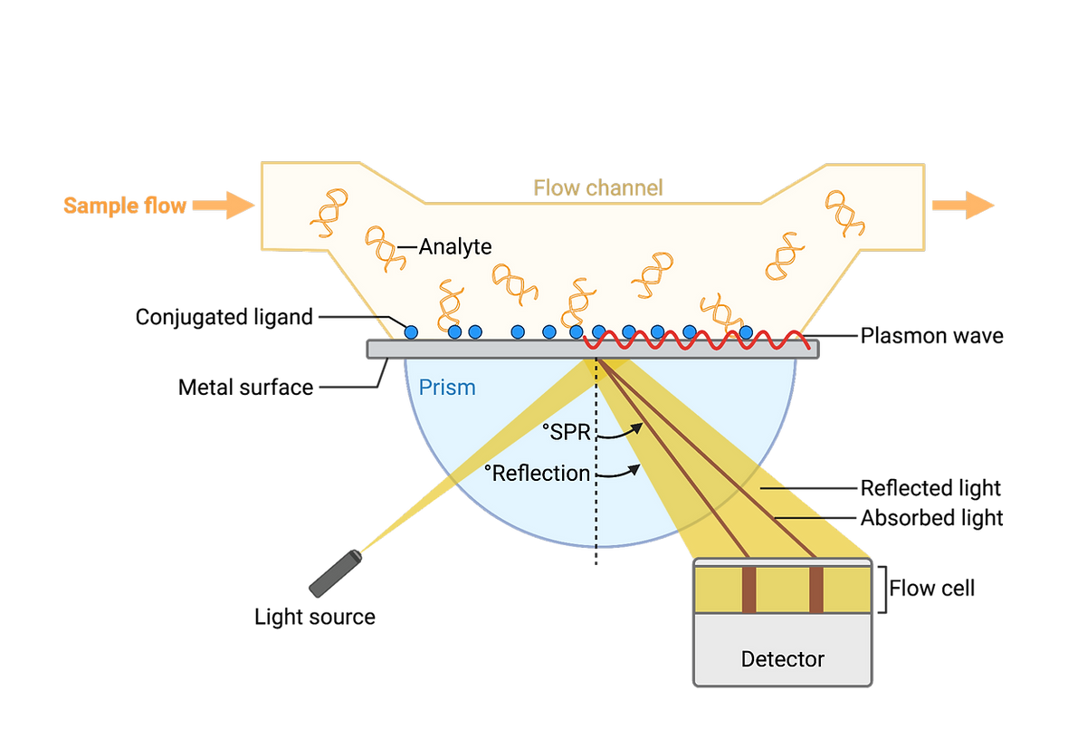 Figure VI - Schematic of Aptamer-Functionalised Surface Plasmon Resonance (SPR) Sensor for Real-Time Analyte Detection