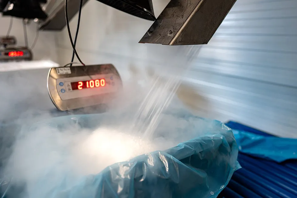 Nahtlose digitale Geschäftsprozesse im CO₂- und Kältemittelgeschäft