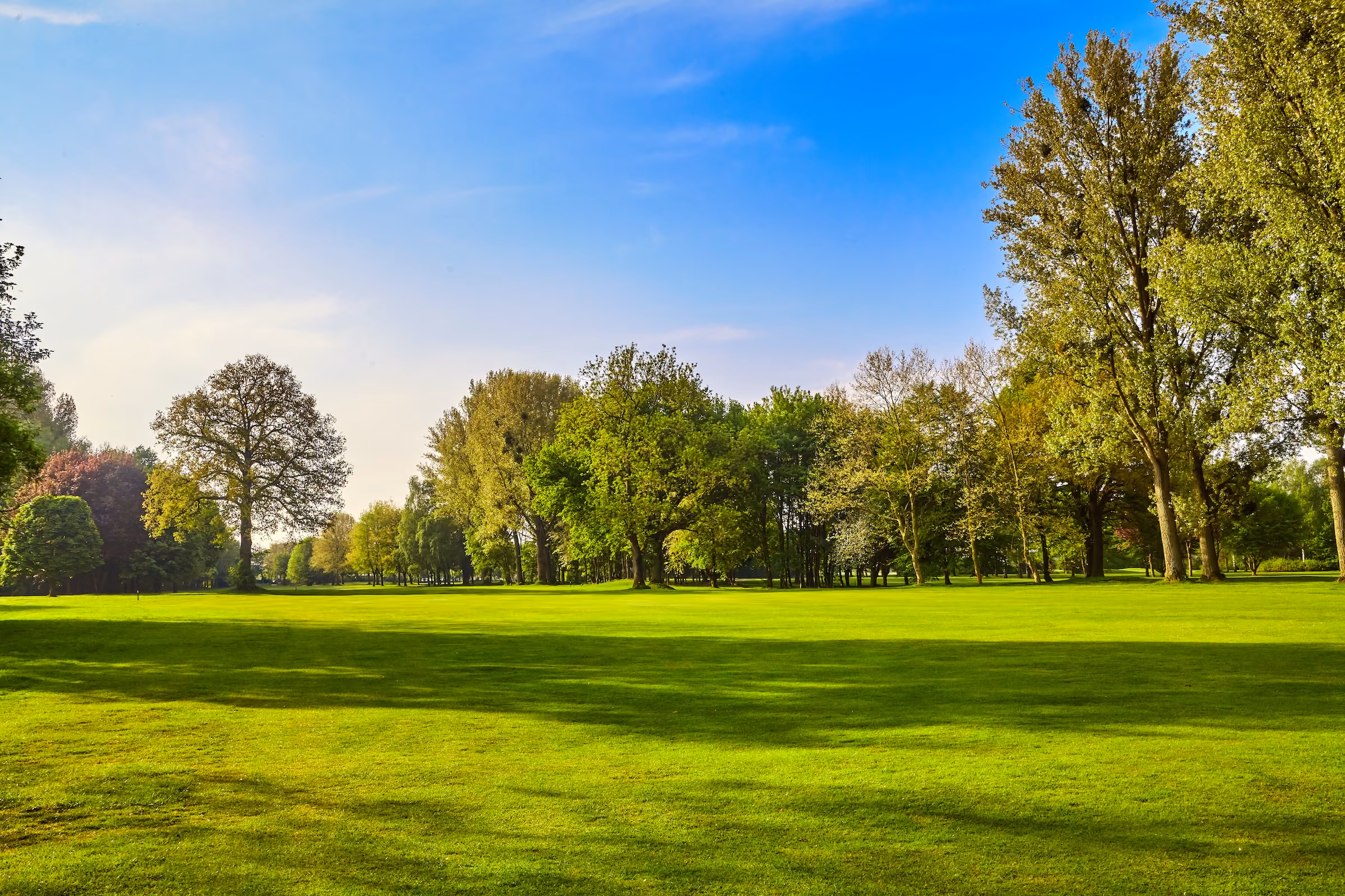 Park Stock Image
