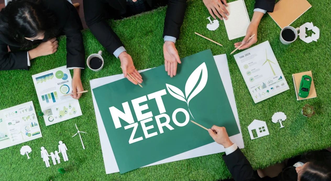Net zero planning