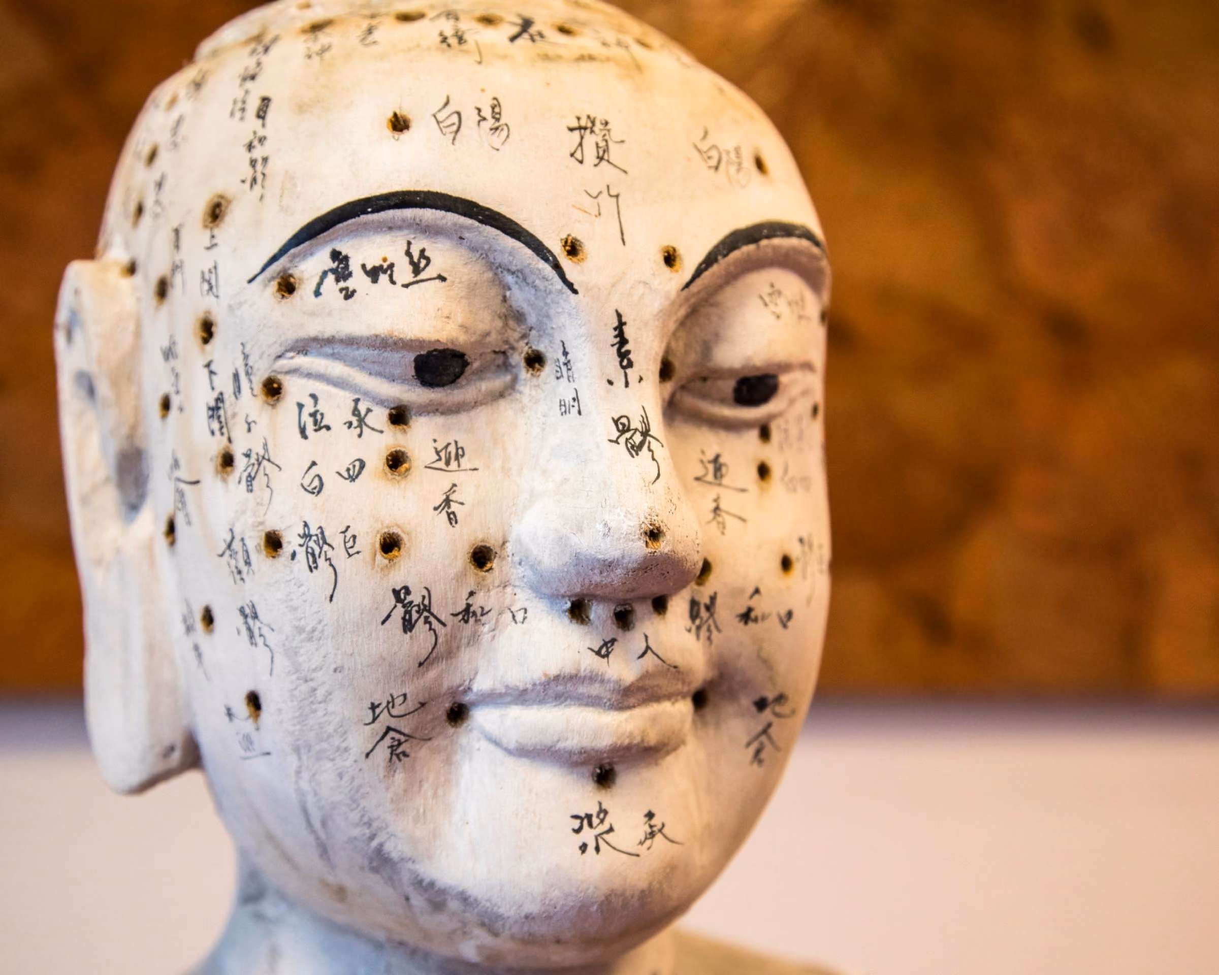 Nahaufnahme eines Akupunkturkopfes mit markierten Punkten und chinesischen Schriftzeichen