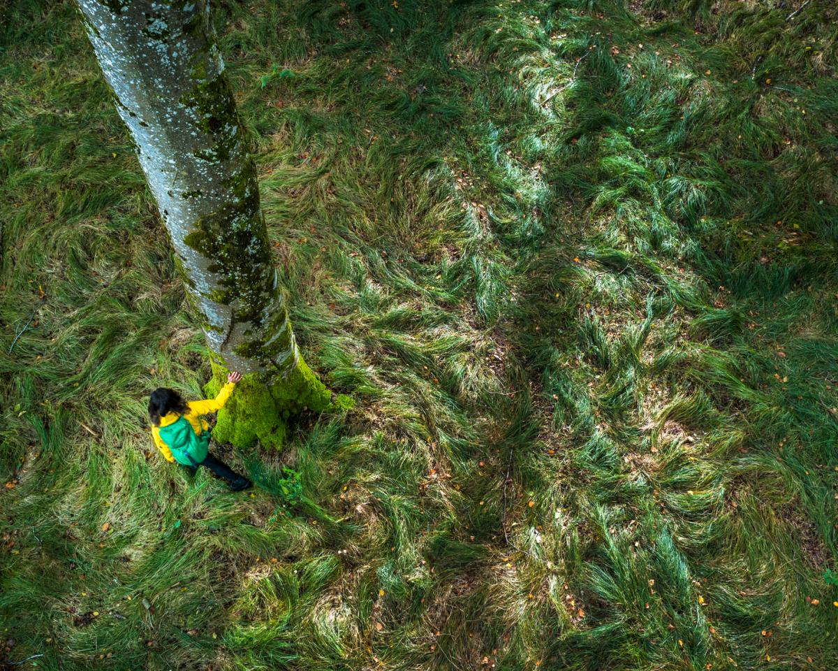 Person in gelber Jacke lehnt an einem bemoosten Baumstamm auf einer Waldlichtung im Heilwald Bad Wörishofen