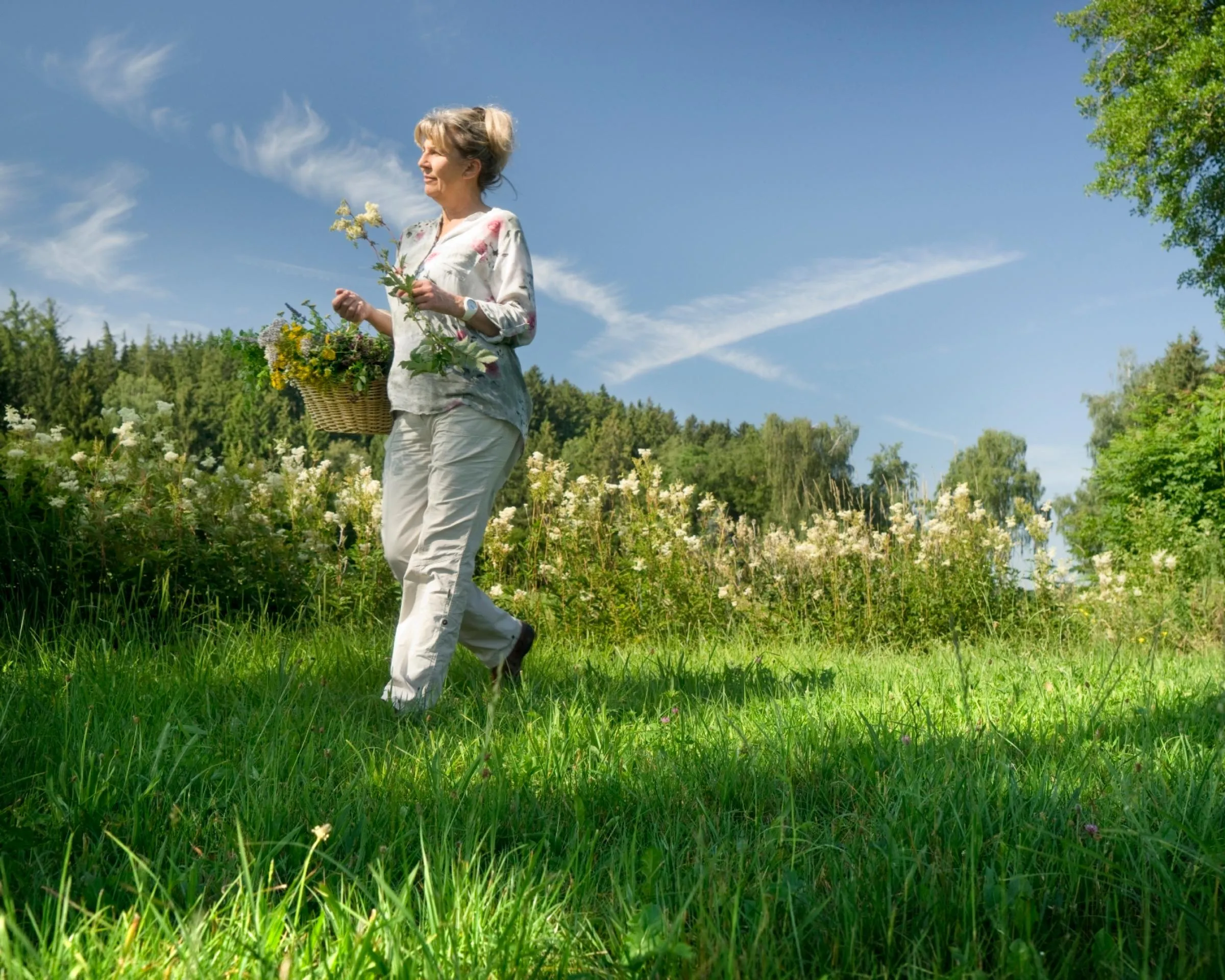 Frau mit einem Korb voller Wildkräuter und Blumen geht über eine sonnige Wiese am Waldrand