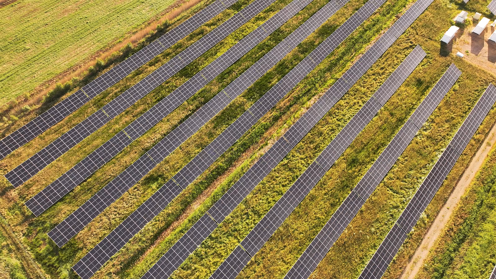 Aerial view of solar panels arranged in rows on grassy land for solar energy generation.