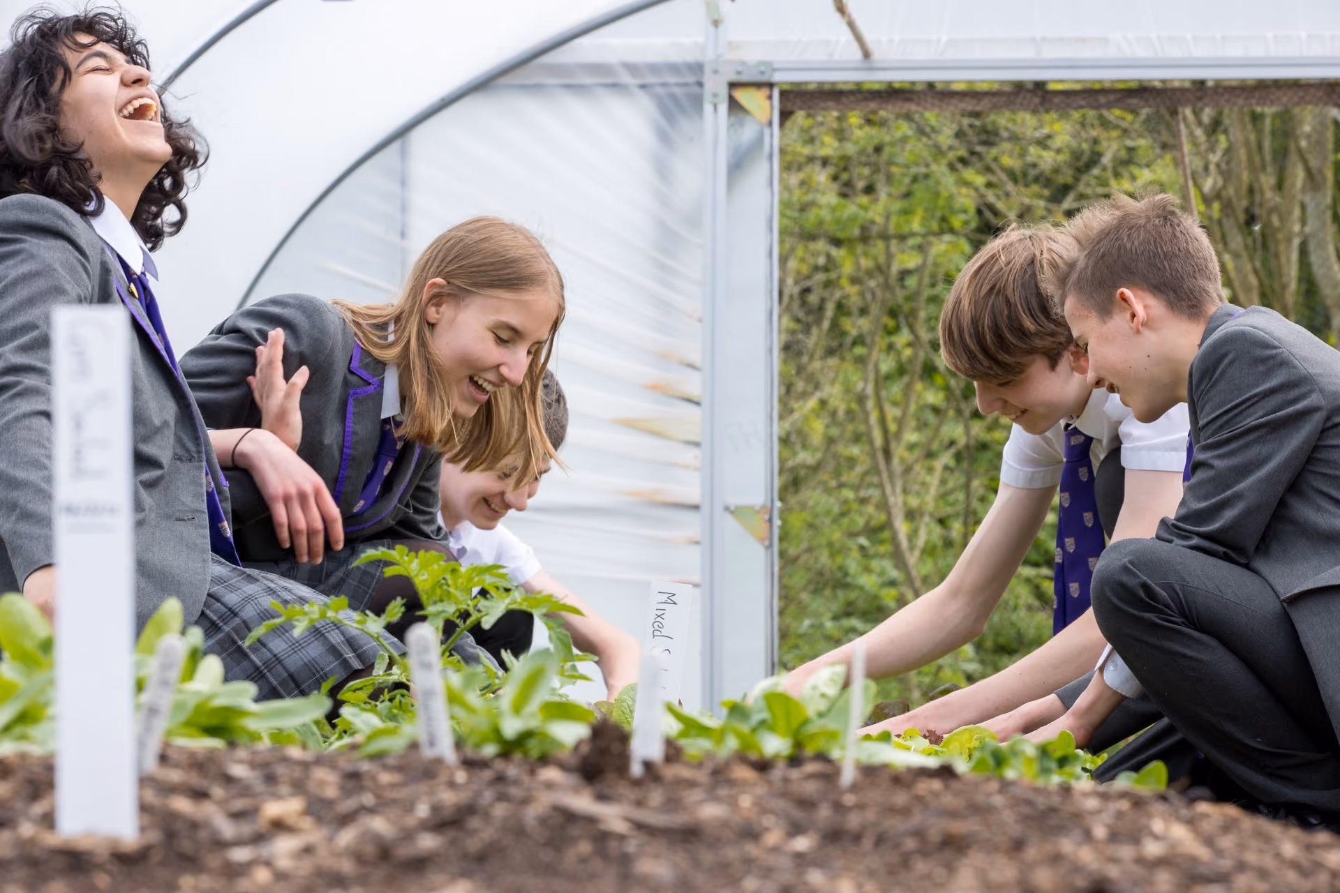 Six school students in uniforms smiling and engaging with plants inside a greenhouse, kneeling by garden beds with plant labels.
