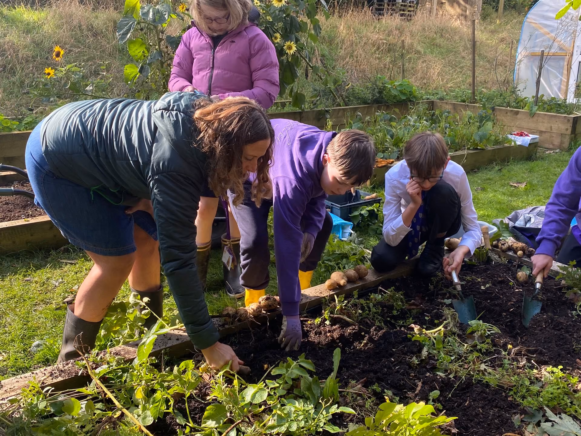 Pupils planting trees as part of the school rewilding project