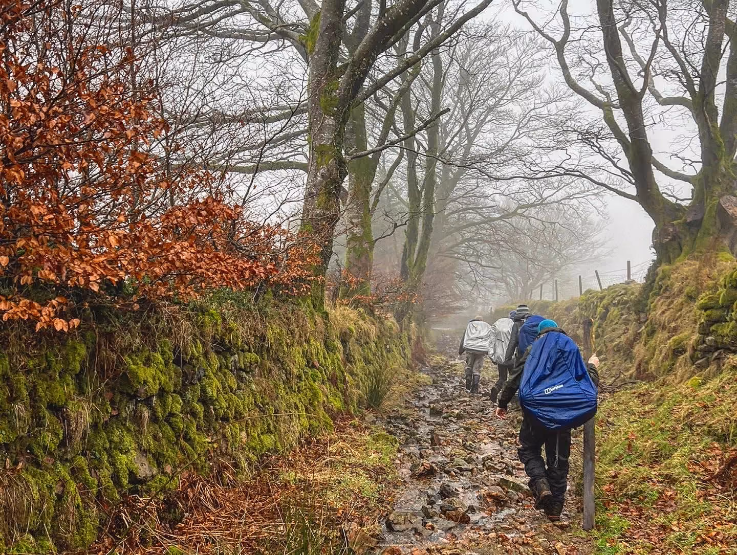 Three hikers walking on a rocky, muddy trail flanked by moss-covered stone walls and leafless trees on a foggy day.