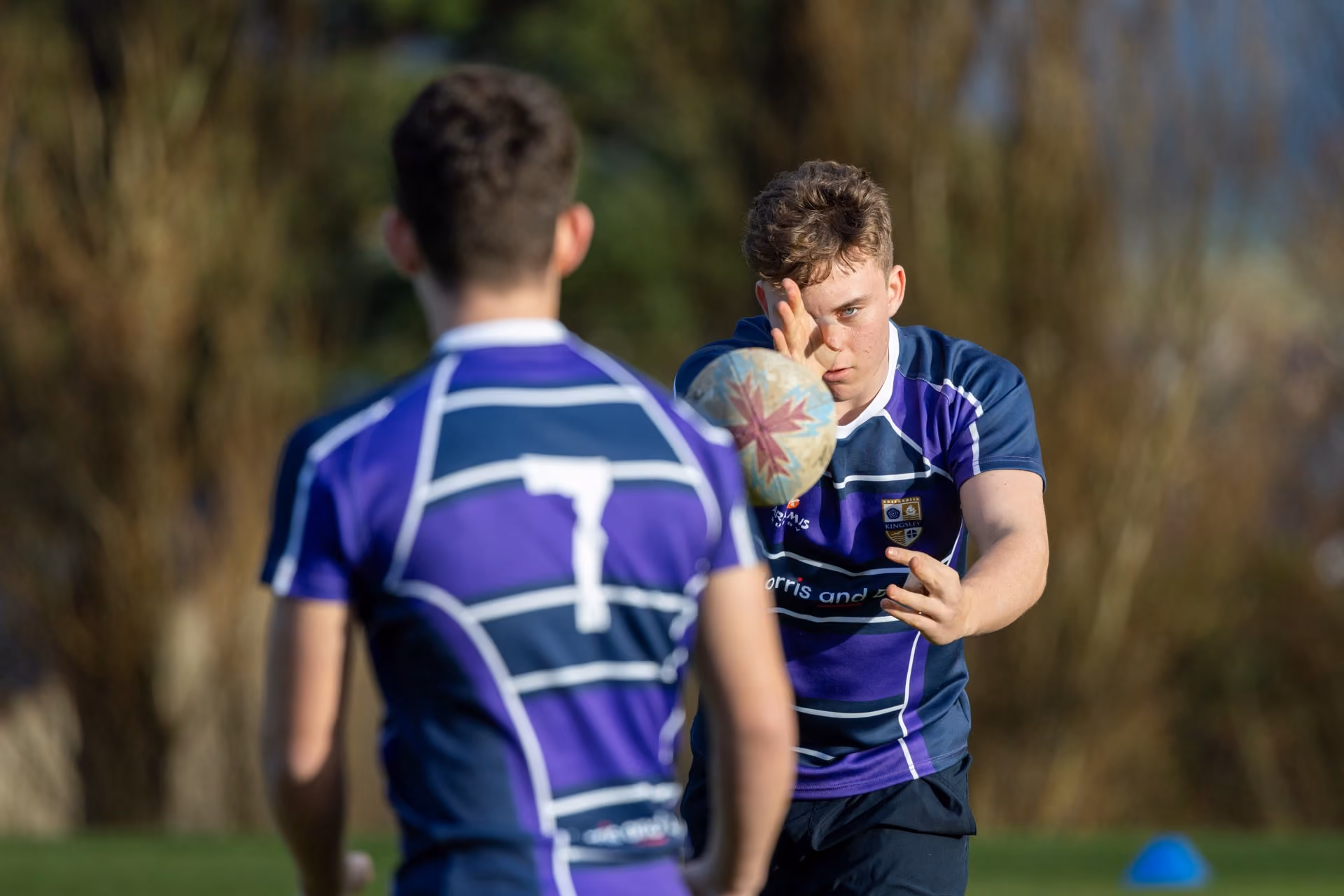 Two rugby players in blue and purple striped jerseys, one passing a rugby ball to the other during a game on a grassy field.