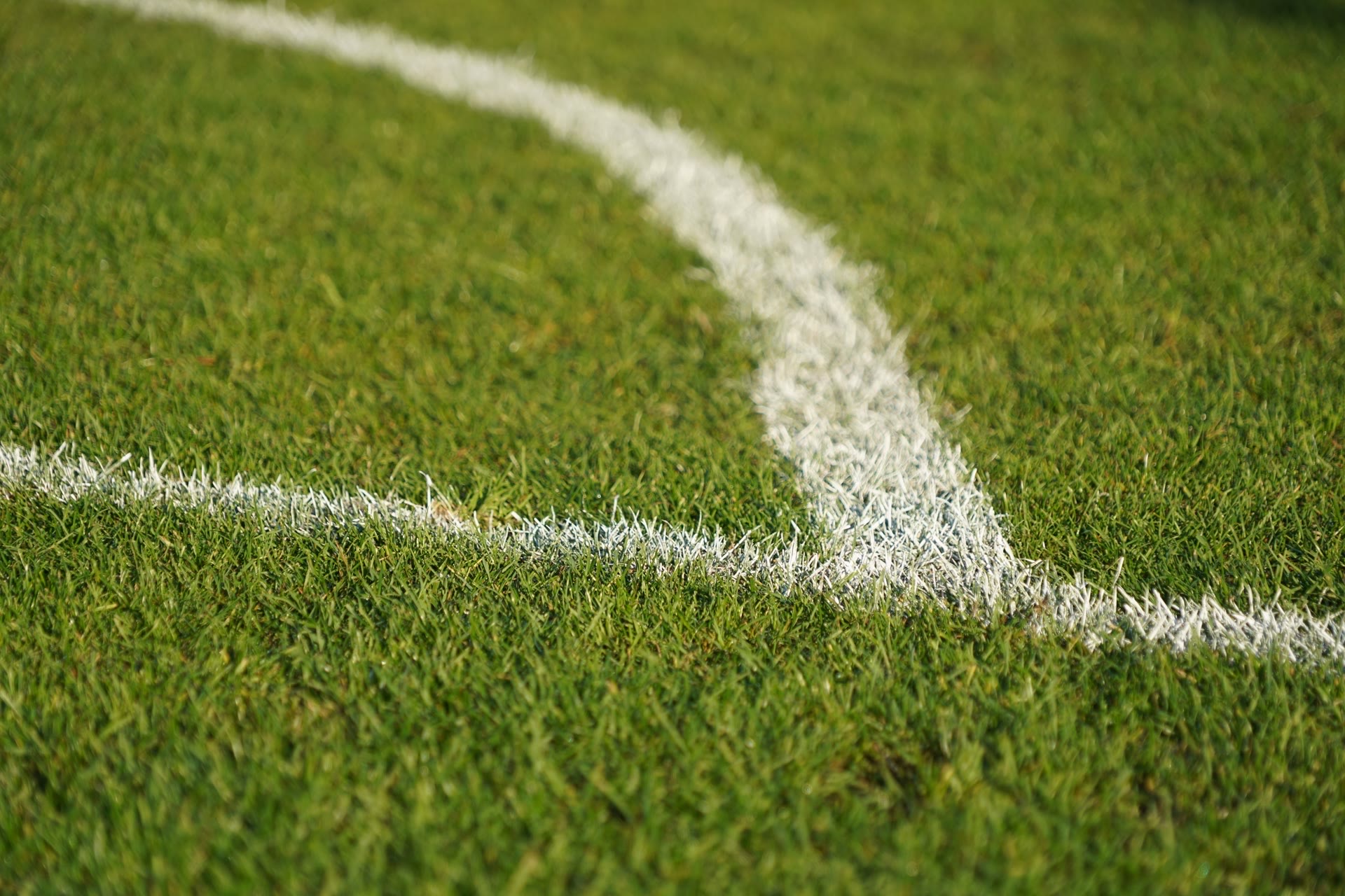 Close-up of white boundary lines curving on a green grass sports field.