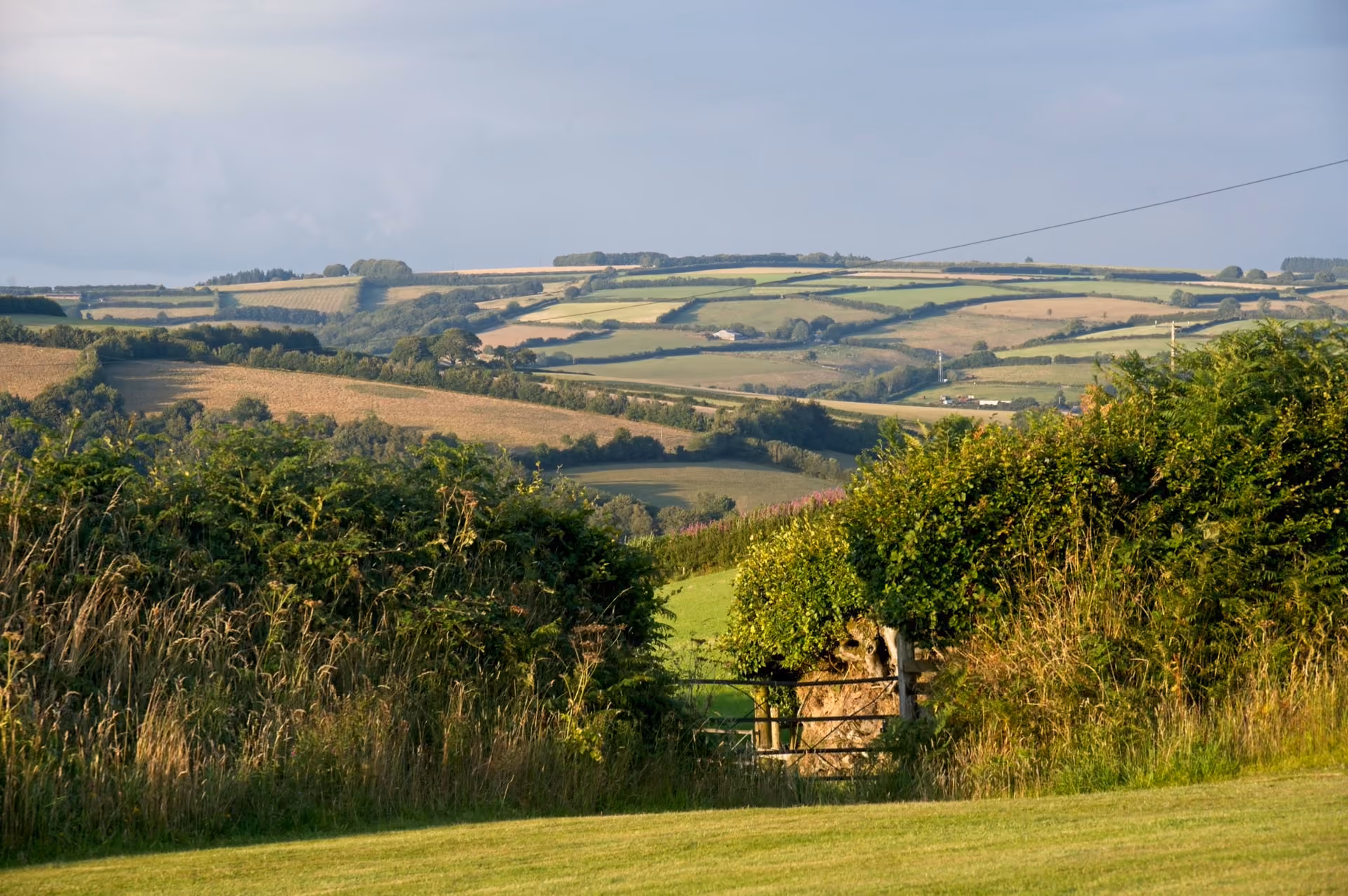 Rolling countryside with patchwork fields separated by hedgerows under a cloudy sky, viewed over grassy foreground and dense bushes surrounding a wooden gate.
