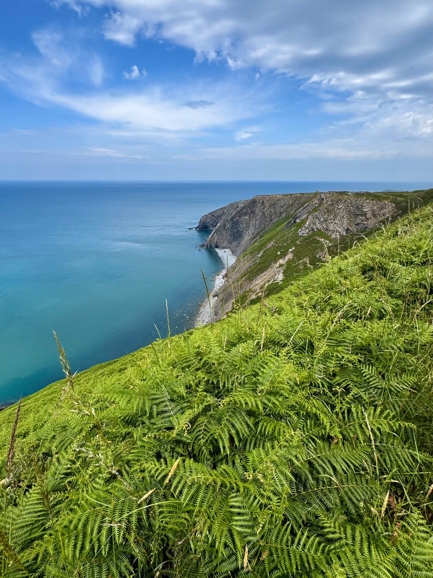 View over a cliff covered in green ferns leading down to a calm blue sea under a partly cloudy sky.