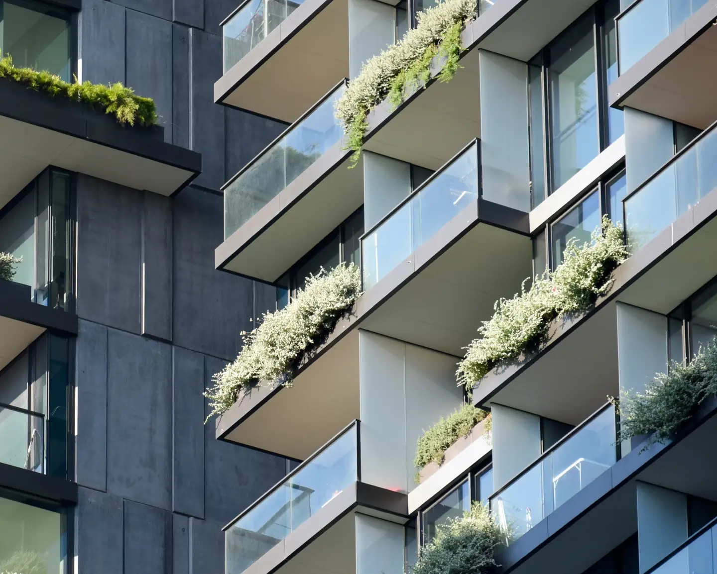 Apartment balconies planted with greenery