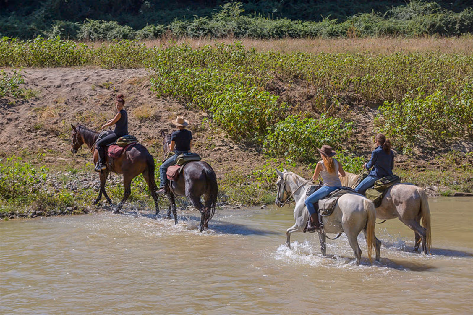Quatre cavaliers a cheval traversent une riviere lors d'une randonnée équestre en Toscane.