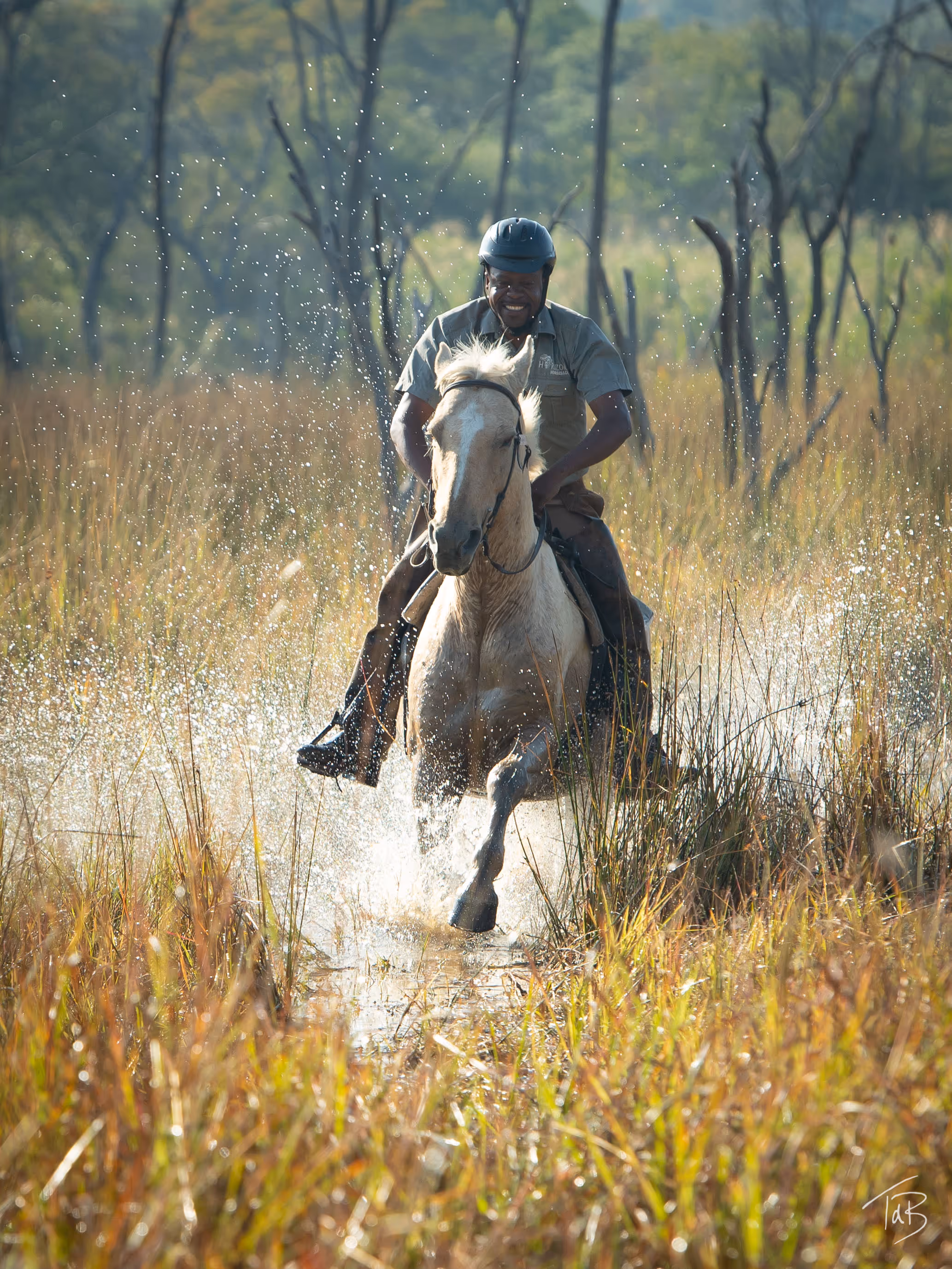 Un cavalier souriant galope dans l’eau lors d’un safari équestre dans la savane africaine.