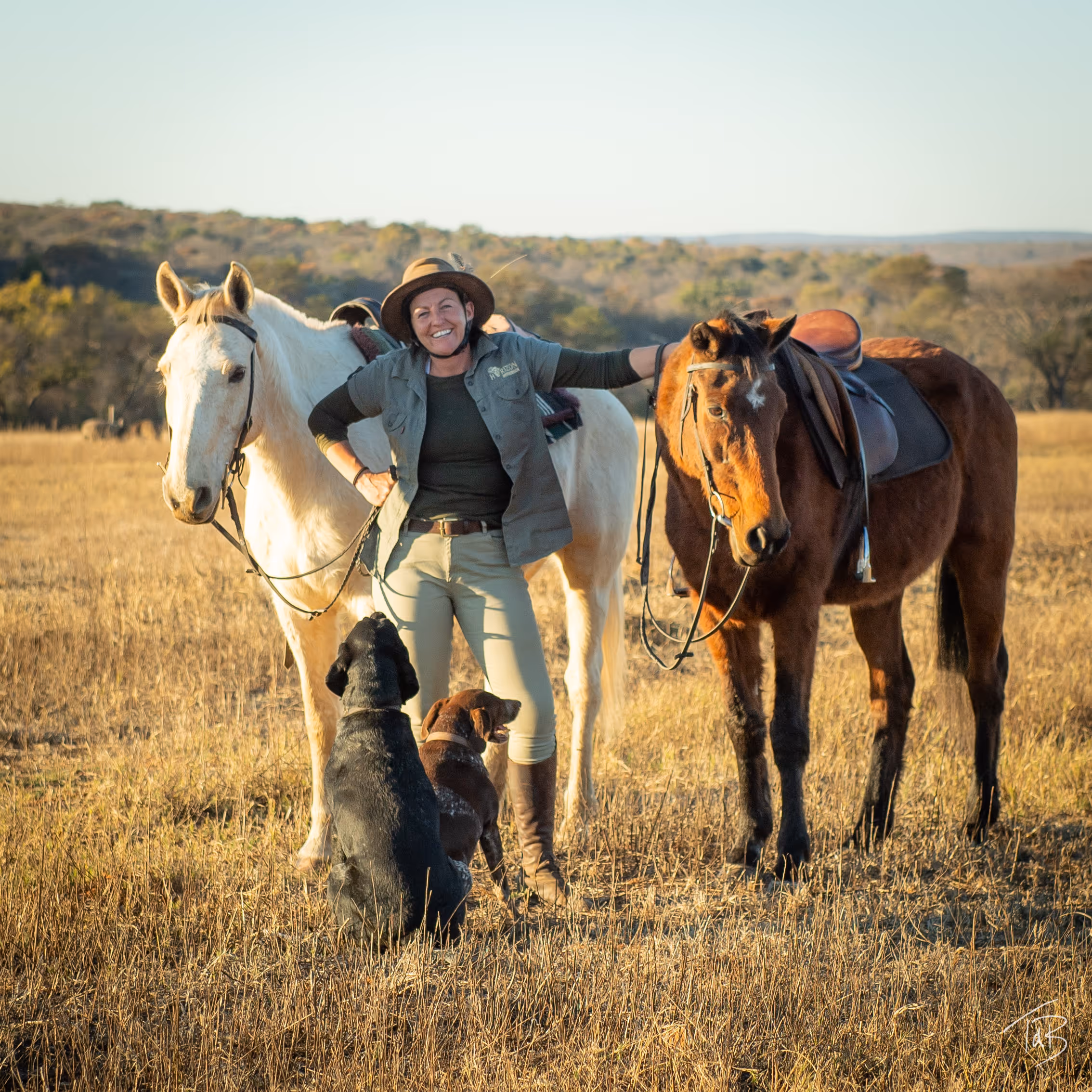 Une cavalière avec deux chevaux et des chiens de pistage dans la savane africaine.