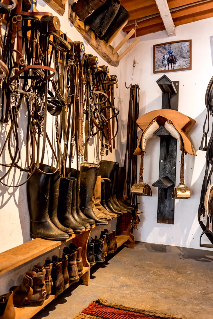 Une sellerie équestre bien rangée avec des longes suspendues au mur et des bottes d’équitation alignées sur un banc.
