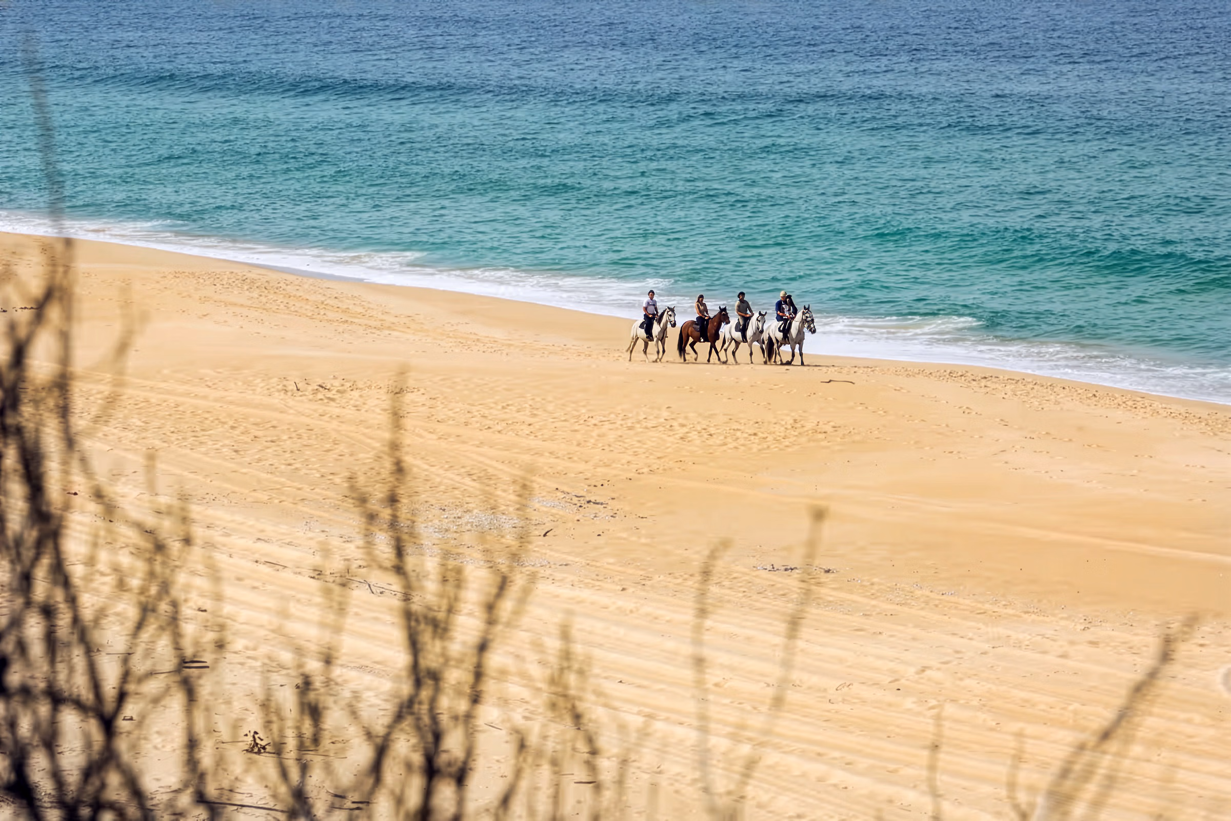 Vue panoramique de quatre cavaliers lors d’une randonnée équestre guidée le long du littoral sur la Route des Plages de l’Alentejo.