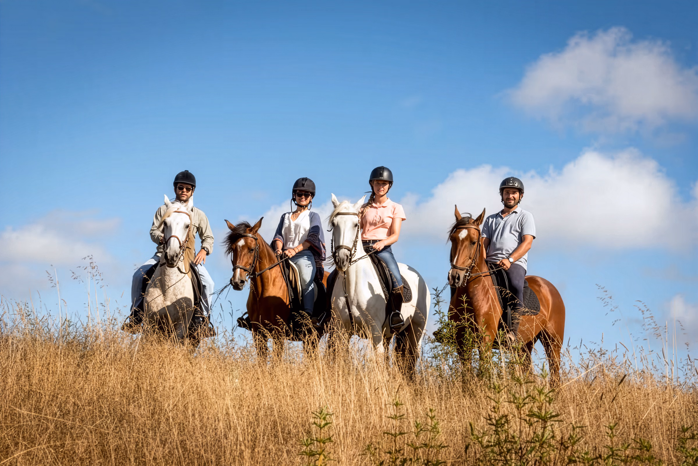Quatre cavaliers à cheval font une pause au sommet d’une colline pour admirer la vue sur la côte lors d’une randonnée équestre guidée.