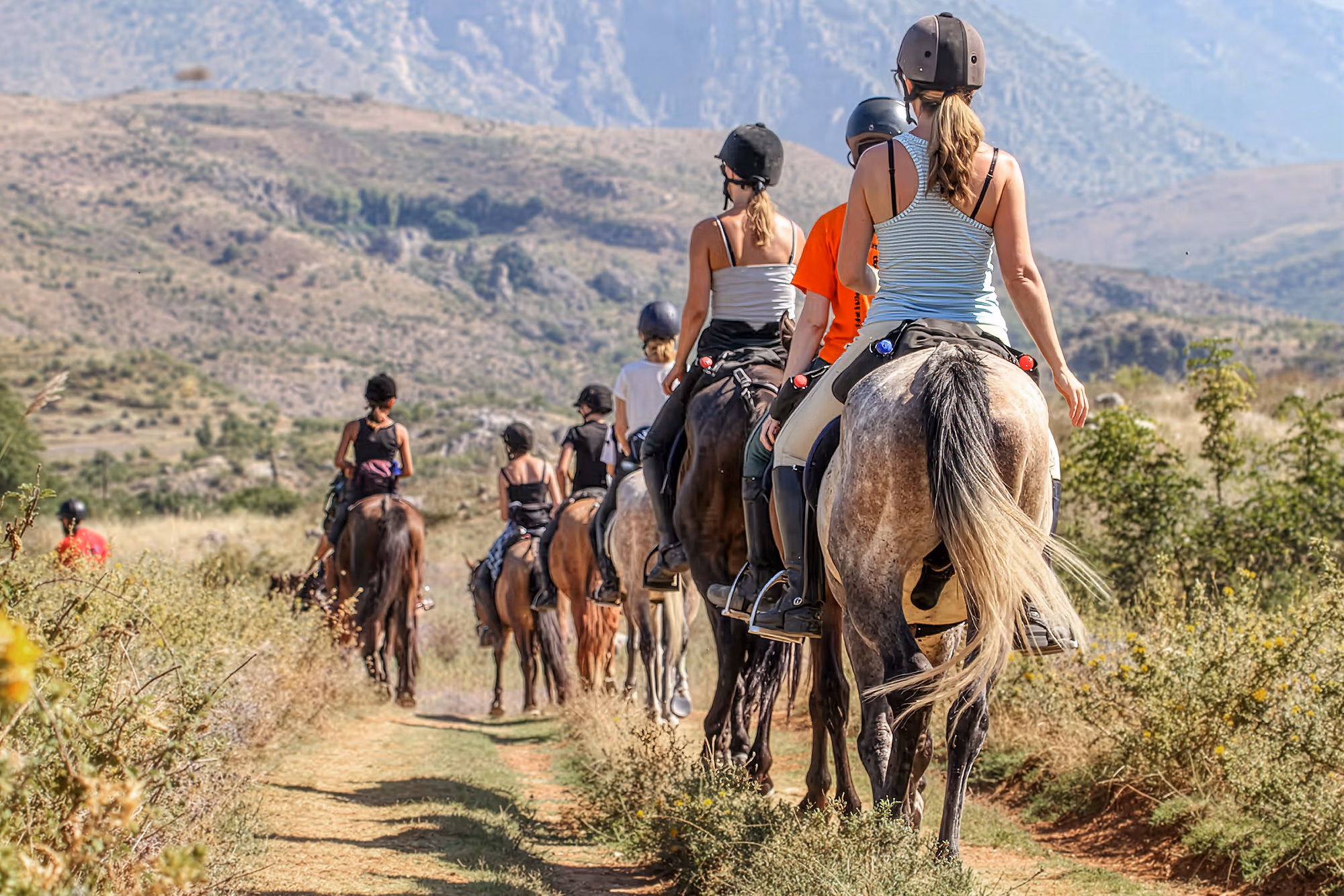**Texte alternatif :** Groupe de cavaliers se dirigeant vers les collines vallonnées lors d'une randonnée à cheval en Albanie.