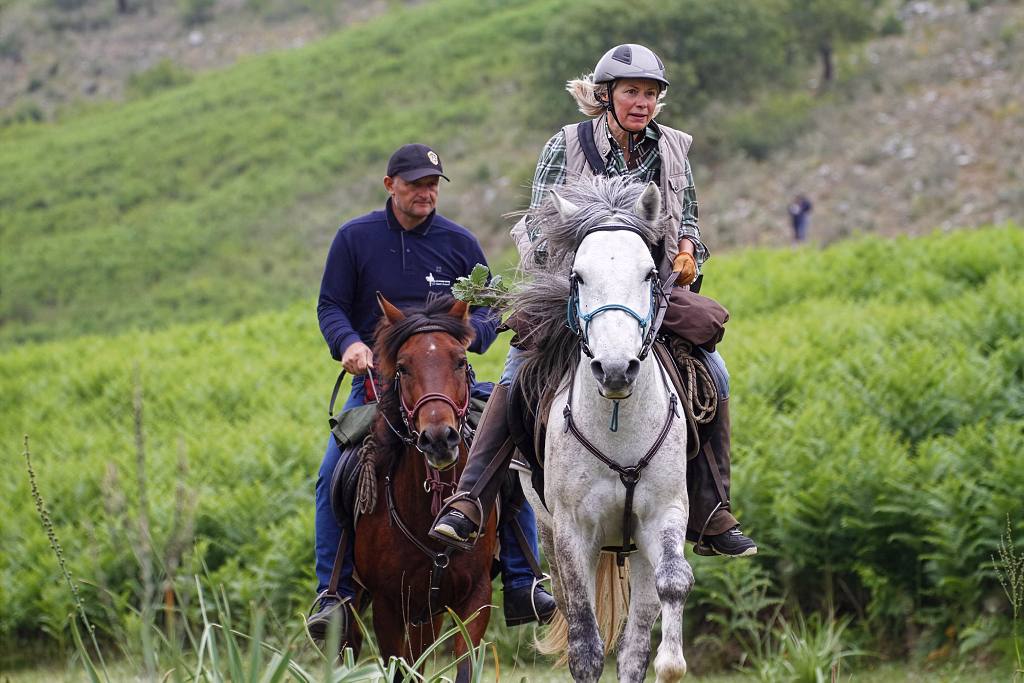 **Texte alternatif :** Cavaliers galopant à travers les fougères sur des chevaux blancs et bais lors d'une randonnée à cheval en Albanie.
