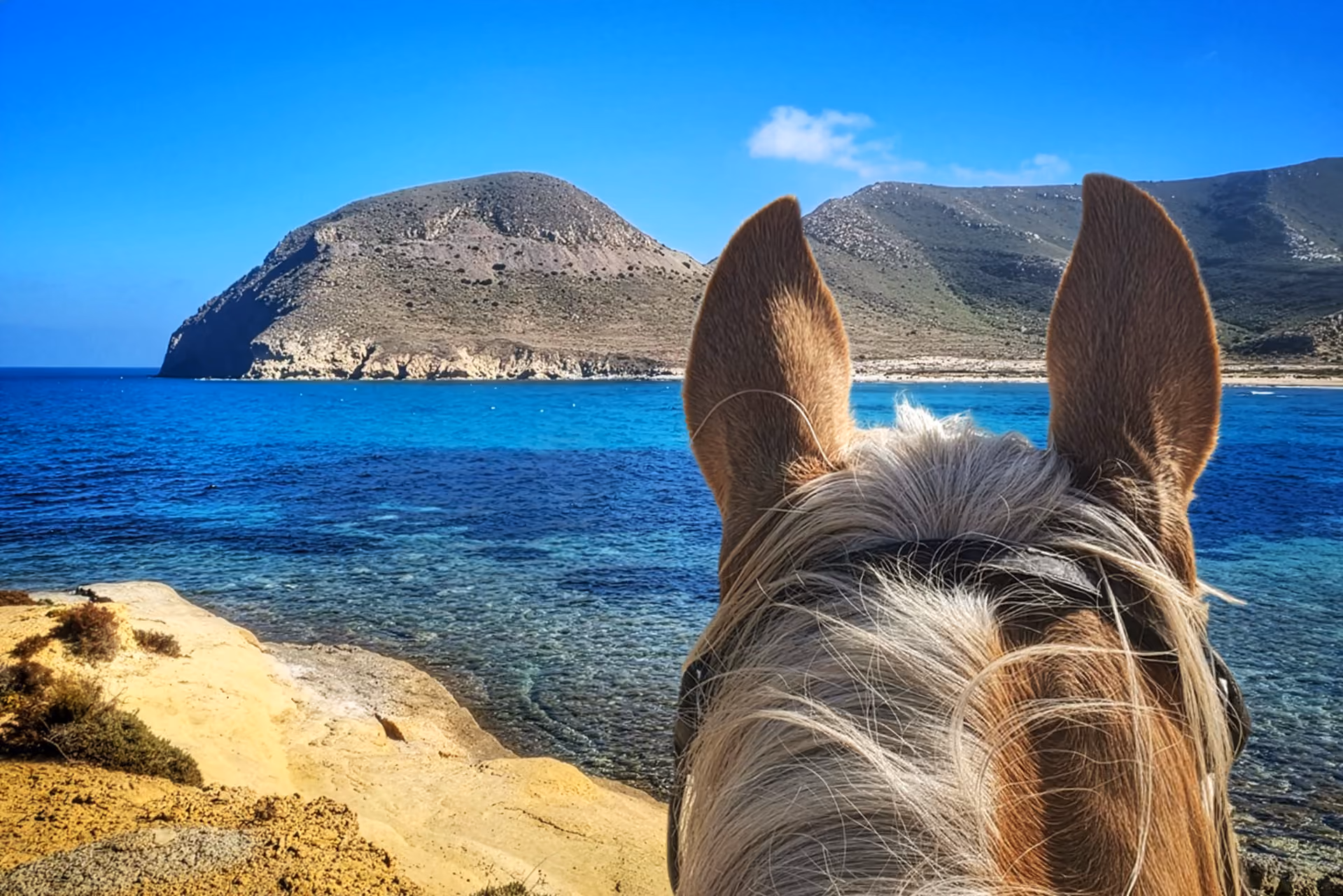 Vue entre les oreilles d’un cheval sur une baie turquoise lors d’une randonnée équestre à Cabo de Gata, en Andalousie.