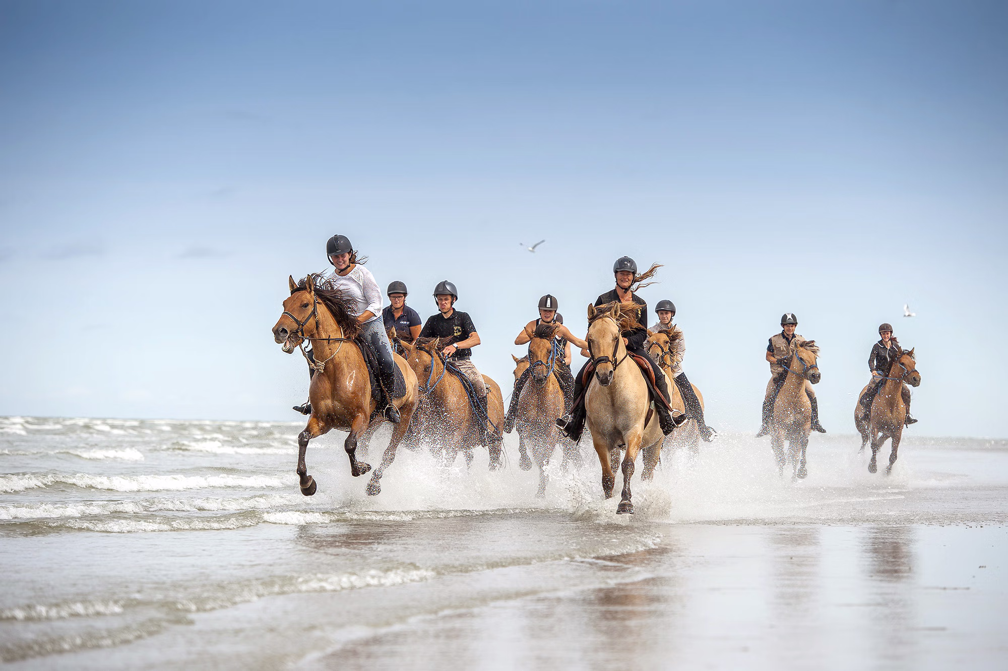 Un groupe de cavaliers galopant dans les eaux peu profondes et soulevant des éclaboussures lors d’un séjour équestre dans la Baie de Somme.