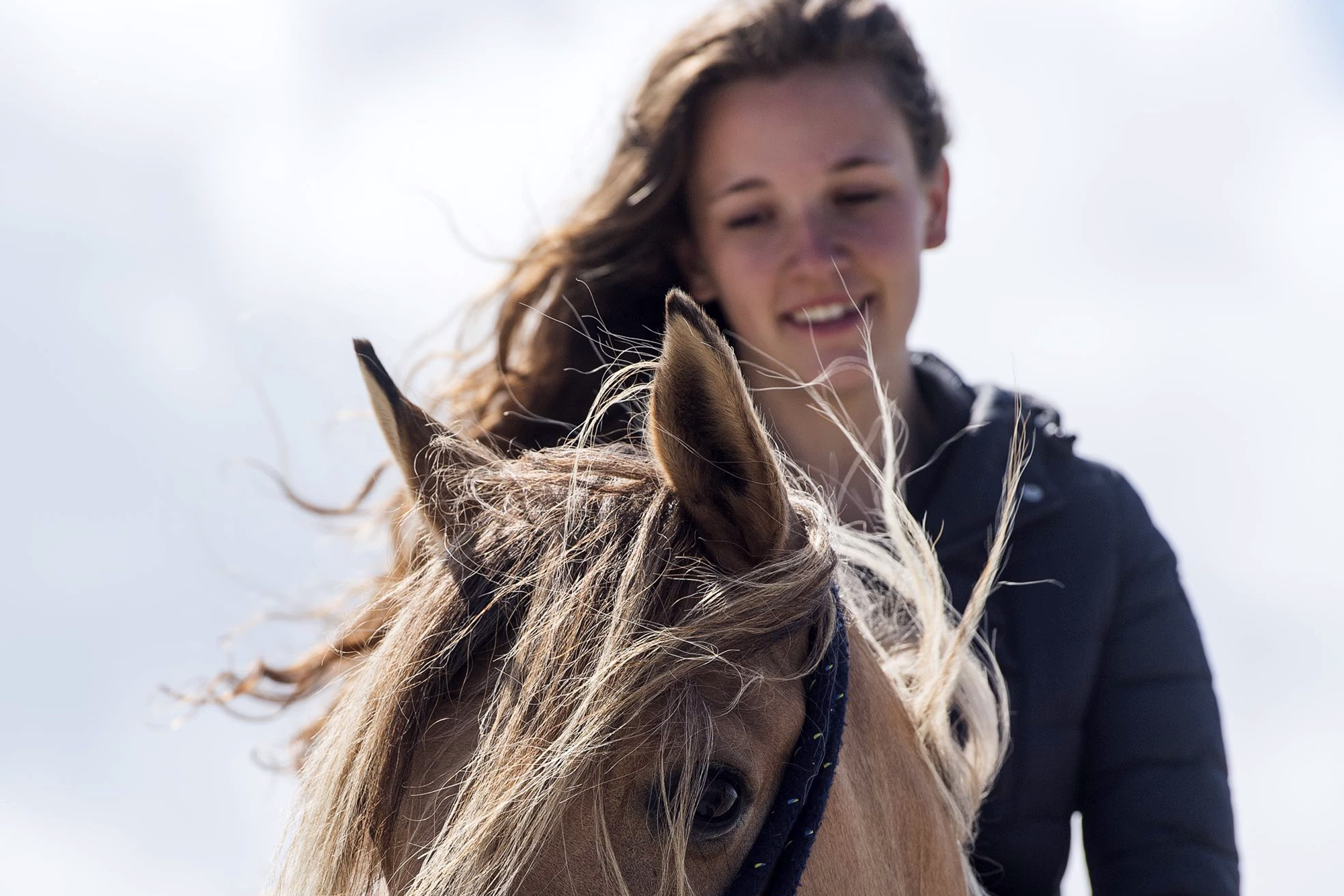 Portrait rapproché d’une cavalière aux cheveux longs près du visage d’un cheval, mettant en valeur l’œil du cheval dans le nord de la France.