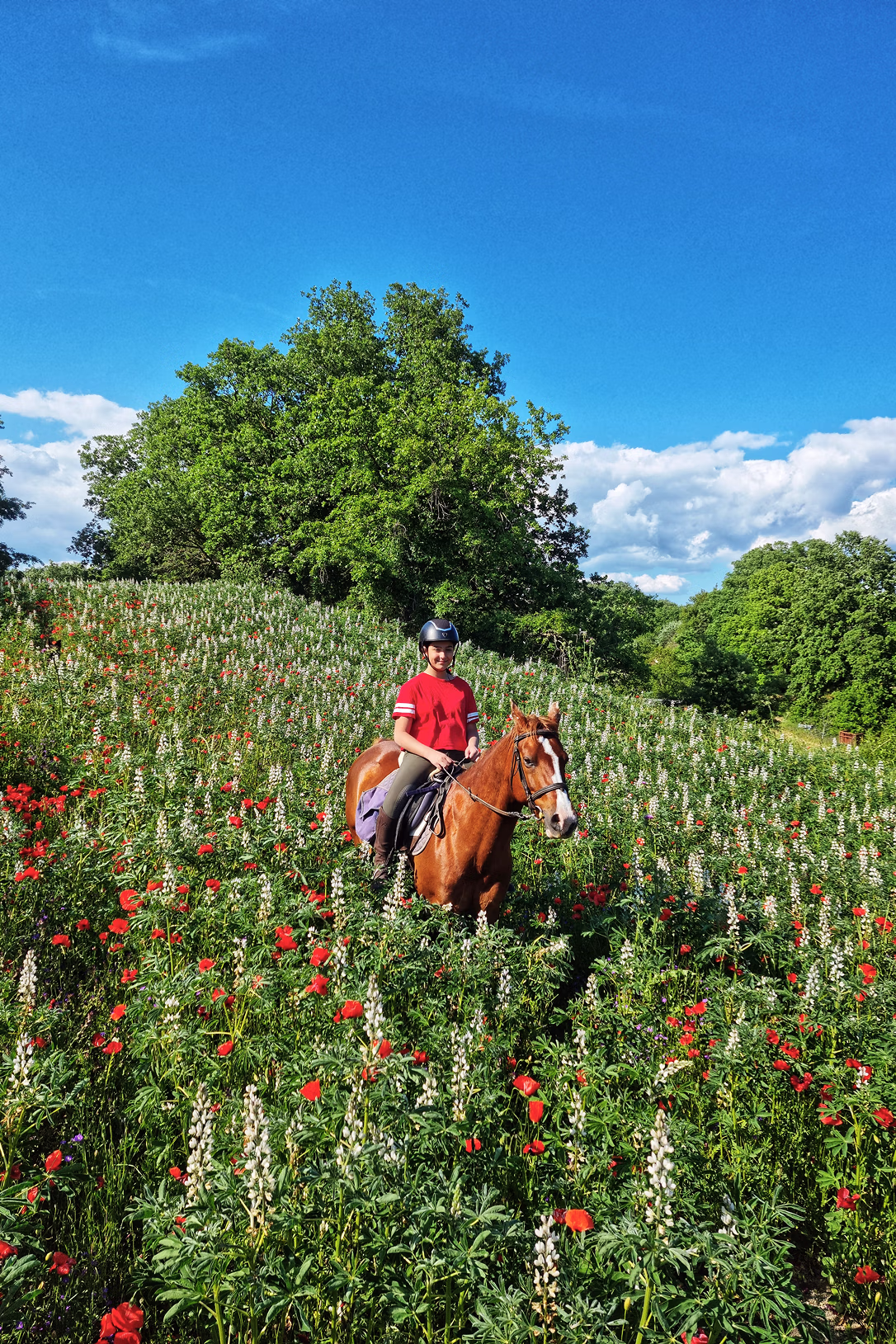 Un cavalier souriant a cheval dans un champ fleuri sous un ciel bleu en Toscane.