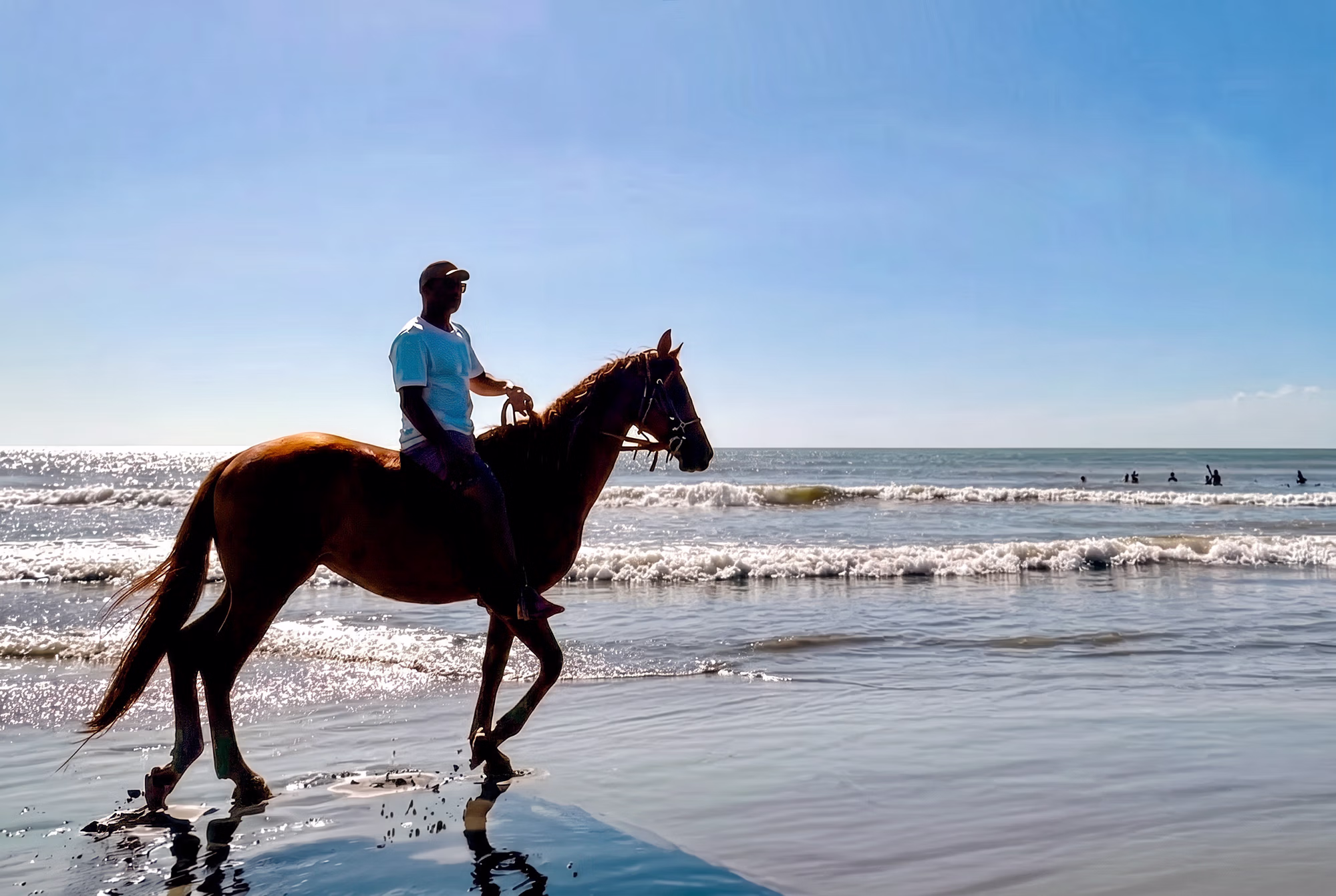 Un guide équestre professionnel à cheval sur une plage de sable, avec la mer des Caraïbes en arrière-plan.