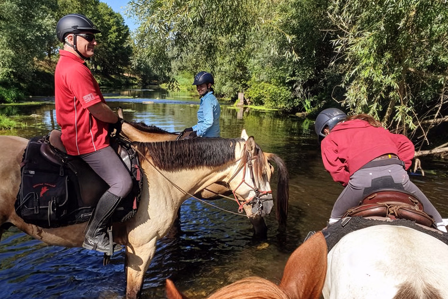 Des chevaux se désalterent dans un ruisseau lors d'une randonnée équestre en vallée de la Loire