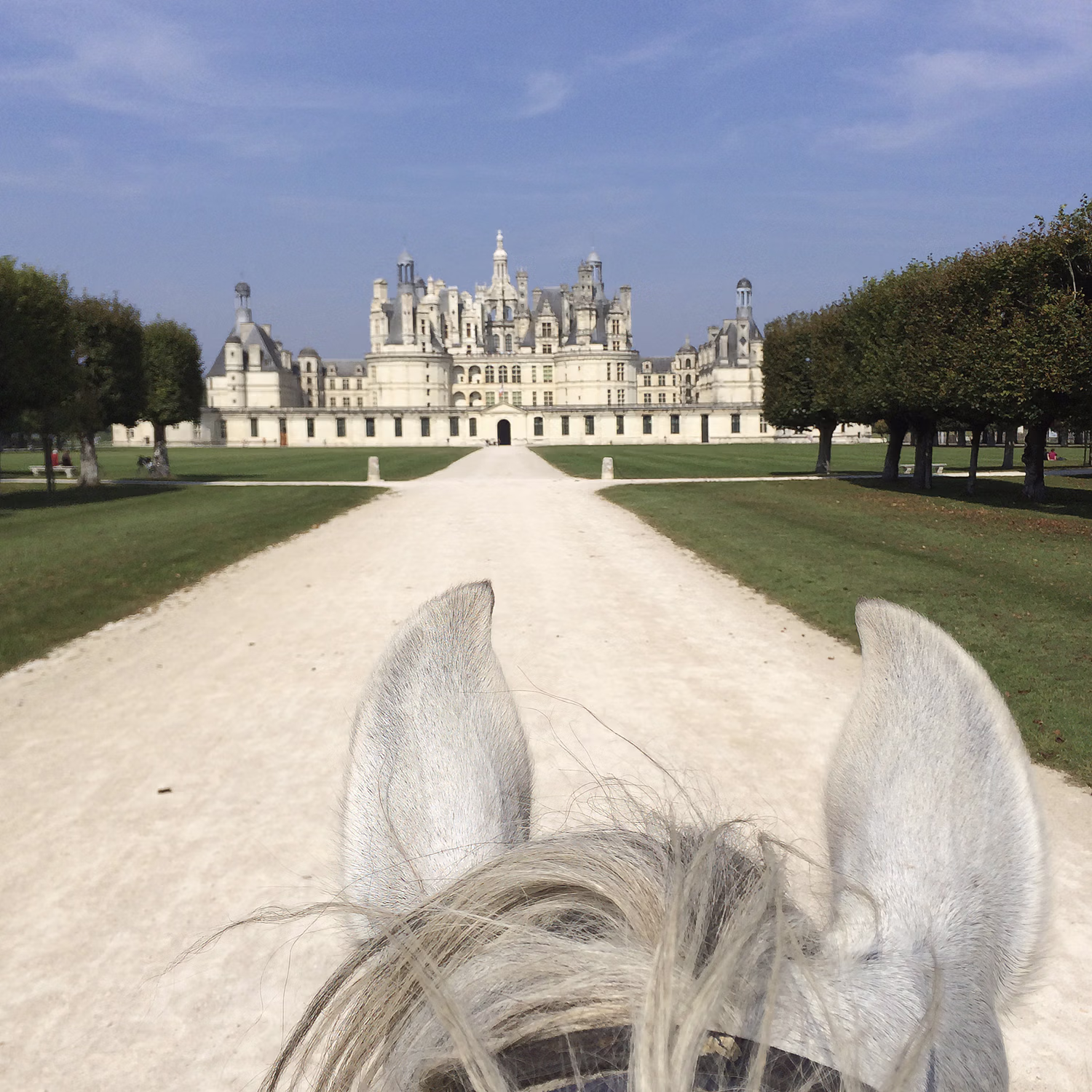 A first-person view between a horse's ears looking down a path leading to a historic French castle