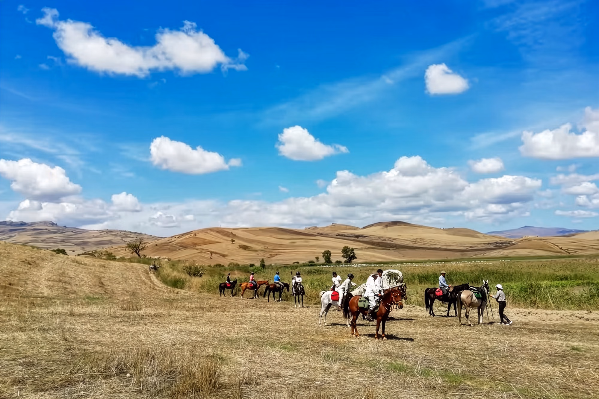 Panoramic view over sicilian fields with riders and horses